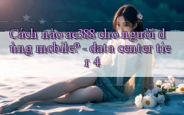Cách nào ae388 cho người dùng mobile   data center tier 4