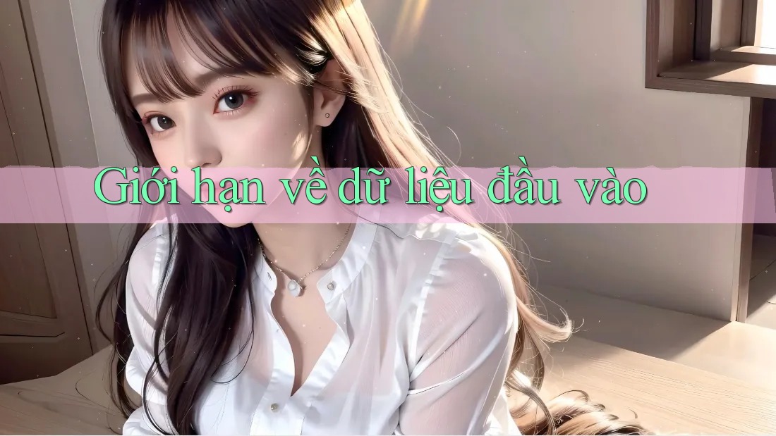 Giới hạn về dữ liệu đầu vào Giới hạn về dữ liệu đầu vào